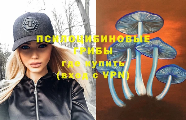 прущие крисы Арсеньев