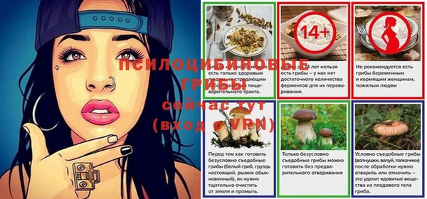 прущие крисы Арсеньев