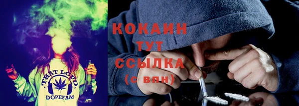 прущие крисы Арсеньев