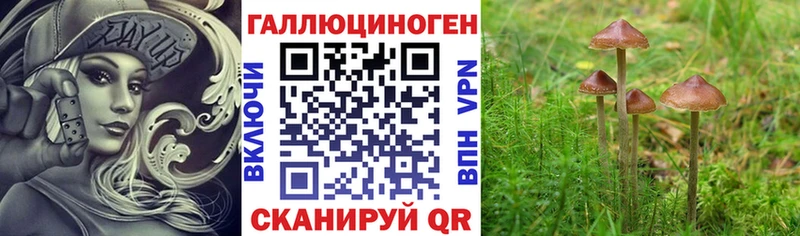 даркнет наркотические препараты цена наркотик Тобольск Псилоцибиновые грибы MAGIC MUSHROOMS